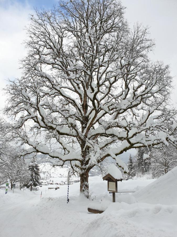 Ferienwohnungen im Gasthof Stern Unterammergau Exterior foto